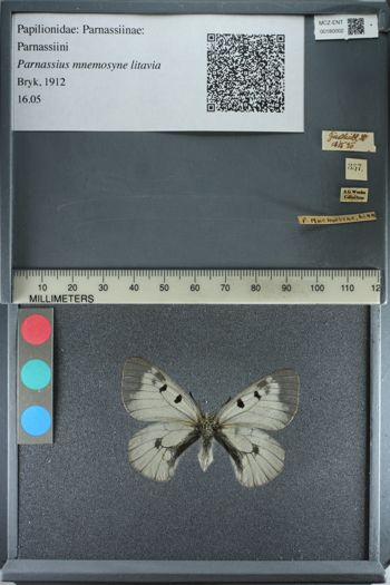 Media type: image;   Entomology 180002